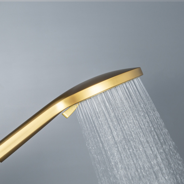 Душевая лейка AVS 811-630-BG брашированное золото