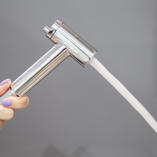 Гигиеническая лейка AVS 811-612-CR хром