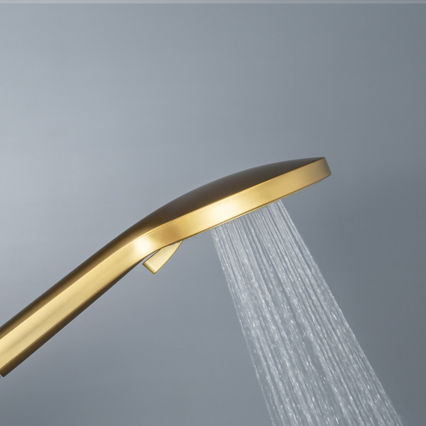 Душевая лейка AVS 811-630-BG брашированное золото