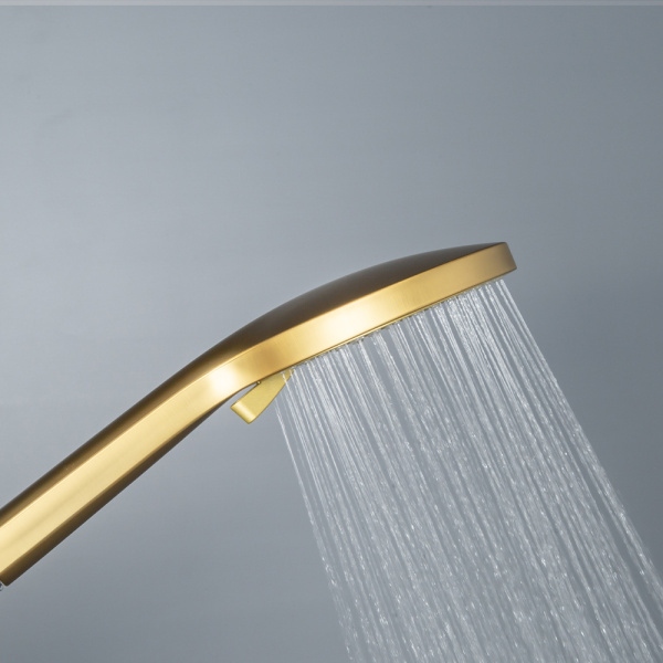 Душевая лейка AVS 811-630-BG брашированное золото