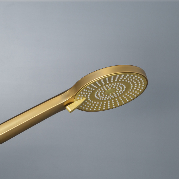Душевая лейка AVS 811-630-BG брашированное золото
